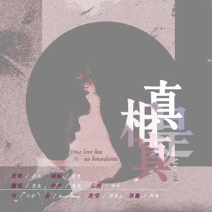 真相是真（翻自 阿鸣）