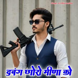 दबंग छोरो मीणा को