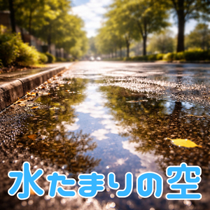 水たまりの空