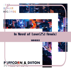 In Need of Love(ZSJ Remix)
