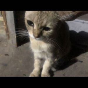 【FREE】rnb x pop x kpop x house type beat