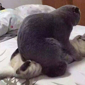 暧昧（Cover 薛之谦）