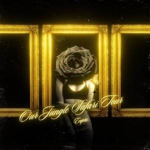 Our Jungle Safari Tour