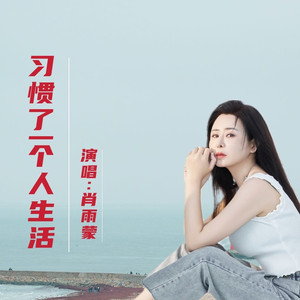 习惯了一个人生活 (伴奏)