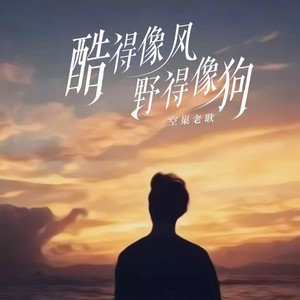 酷得像风野得像狗 (DJ光波版)