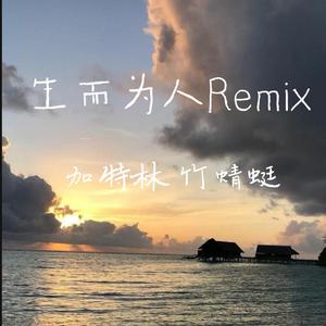 CADY-生而为人Remix（雲中仙-竹蜻蜓 / 雲中仙-加特林 remix）