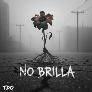 No Brilla (Somos Semillas)