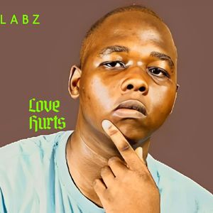 Love Hurts (Instrumental Version)