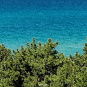 우리는 빛나 별들보다