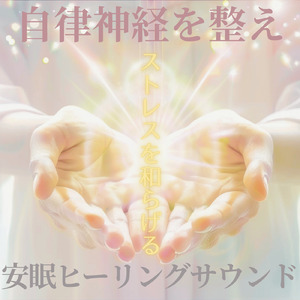 森の星空と静かな夜風