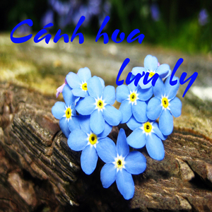 Chiếc gậy Trường Sơn