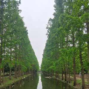 WAV文件_荃路漫漫_127259120783395840_1776778249975