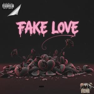 Fake Love