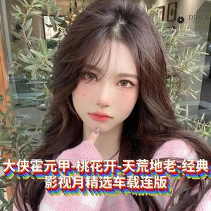 DJ国飞-大侠霍元甲-桃花开-天荒地老-经典影视月精选车载连版（DJ国飞 remix）