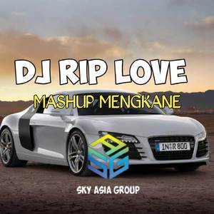 DJ RIP LOVE X MASHUP MENGKANE