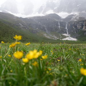 凉州大遍——梦华录（尽力还原版）