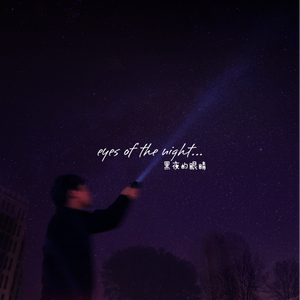 穿过黑夜的眼睛