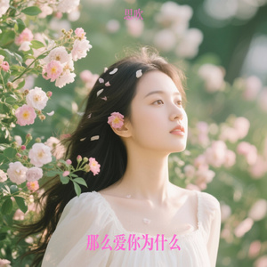 那么爱你为什么（思吹 Remix）