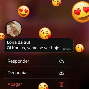 LOIRA DA SUL