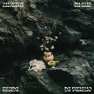 Breve ensayo sobre la soledad