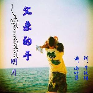 王金霞-父亲的手(Remix)