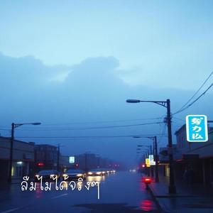 ลืมไม่ได้จริงๆ (Can't Let Go)