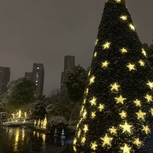 安河桥（翻自 宋冬野）