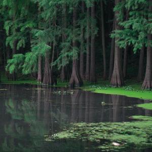 恰好心动孑然一身