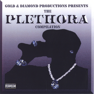 Plethora (The Song), By: Stereotype Buster
