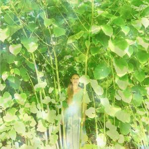 5. Hengityksen keinu