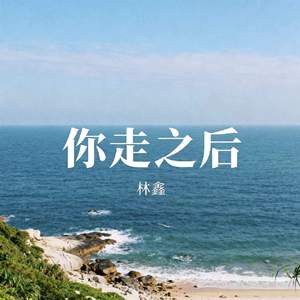 你走之后