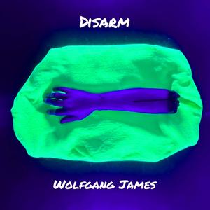 Disarm