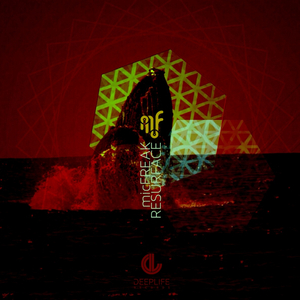 Resurface (Johan De Kock Remix)