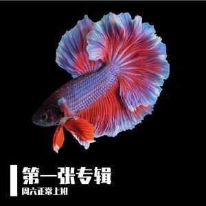 我写了首歌