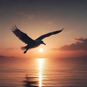 Полёт чайки (Ost "Кусочек Фантазии")