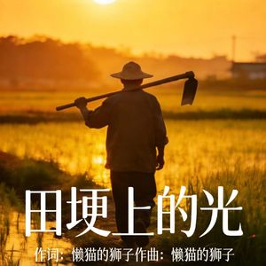 田埂上的光