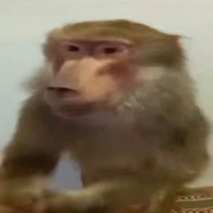 Танцуй (intro)