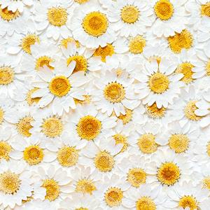 잔잔한 노래 (나의 위로)