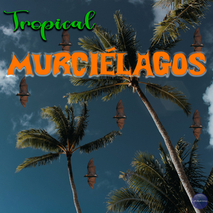 Pregunta y Confesión