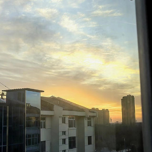 感悟perception（prod MEGA）