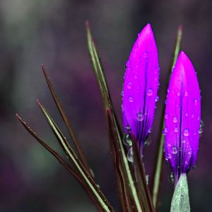 柔和的水疗护理时刻