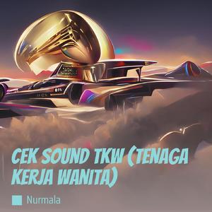 Cek Sound Tkw (Tenaga Kerja Wanita)