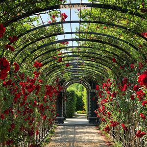 适合办公事务温和的音乐