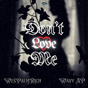 Don't Love Me (feat. Wavy AP)