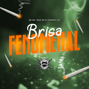 Brisa Fenomenal