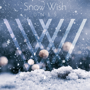Snow Wish