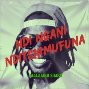 Ndingani ndi tshimufuna