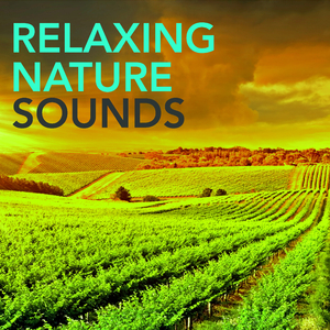 Natute Sounds (Hang Drum)