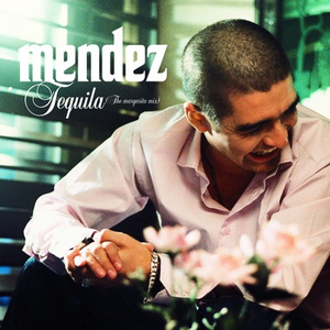 Tequila (The Margarita Mix) (Radio Version)