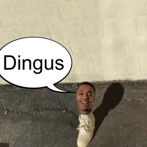 Dingus